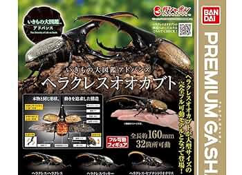 Amazon | いきもの大図鑑アドバンス ヘラクレスオオカブト [全3